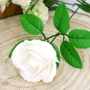 Fleur de savon - Rose moyenne blanche
