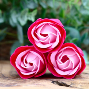 Petites roses roses x3