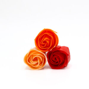 Petites roses Rouges/Oranges x9