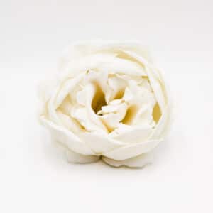 Fleur de savon - Pivoine Blanche