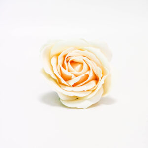 Fleur de savon - Rose moyenne ivoire